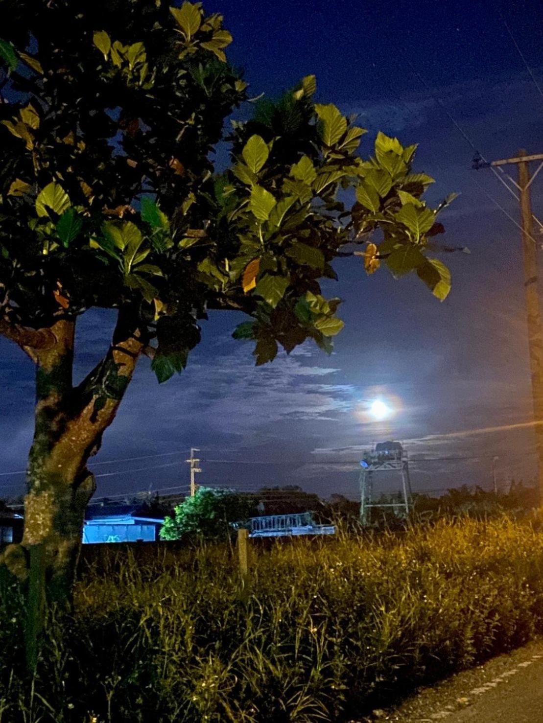 Najima B&B Ji'an Buitenkant foto